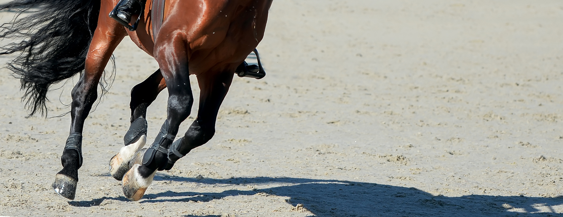 Sorrel dressage horse and rider in uniform performing jump at sh