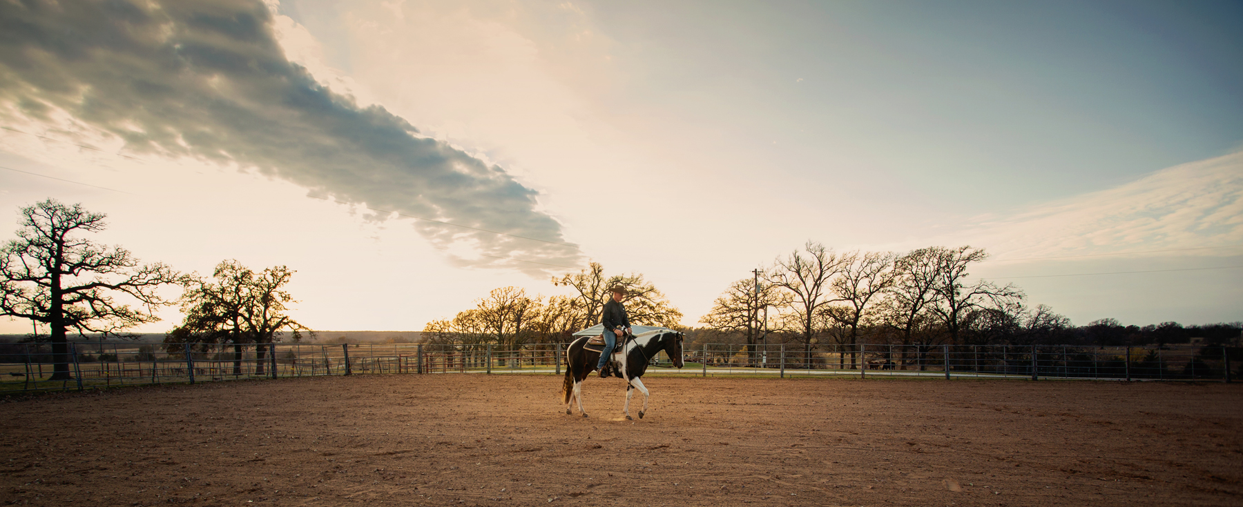 Horse Trainer with Paint Horse